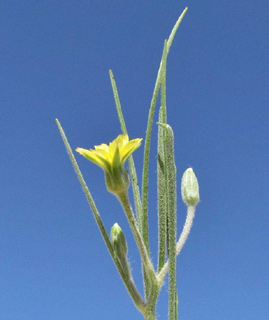 מושב צופר-ערבה, 3-2011. צילום: © מורי חן