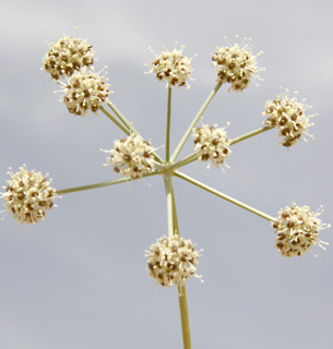 הר הנגב, 4-10. צילום: © ערגה אלוני