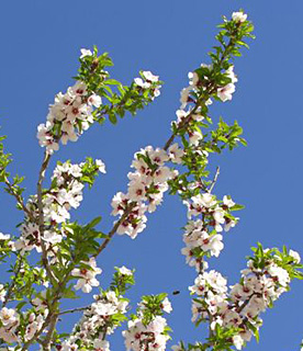 בורות לוץ. צילום: © ערגה אלוני