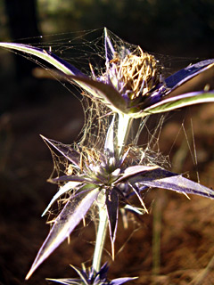 צילום: © יובל עברון
צילום: © יובל עברון