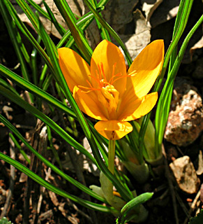 צילום: © מייק לבנה