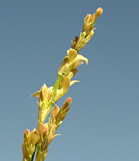 צילום: © מורי חן