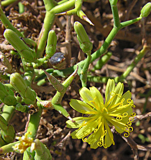 צילום: מורי חן