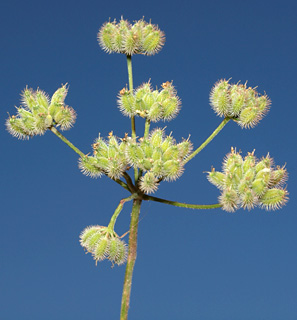 תל אביב, 6-09. צילום: © דרור מלמד