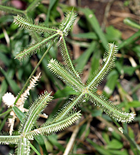 חיפה, ספטמבר. צילום: © דרור מלמד