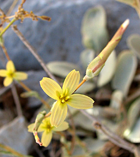 צילום: © ערגה אלוני