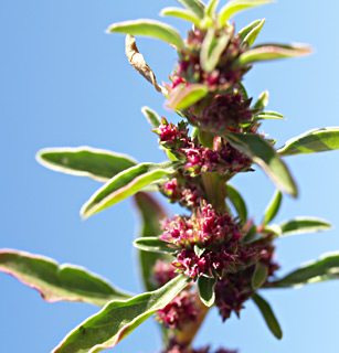 נובמבר, צילום: © דרור מלמד