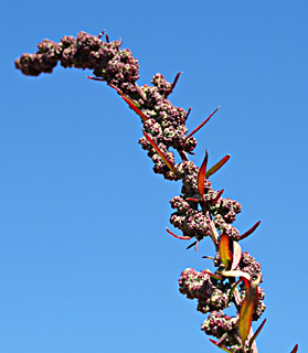 ינואר, צילום: © דרור מלמד