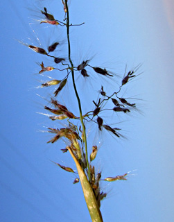 ליד ים המלח, ינואר. צילום: © שרה גולד