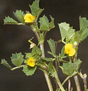 חיפה, פברואר. צילום: © יהודה מרטה