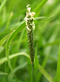 פברואר. צילום: © דרור מלמד