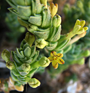 חוף הים בנתניה, אפריל. צילום: © ערגה אלוני