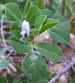 מושב גמזו, פברואר. צילום: © שרה גולד