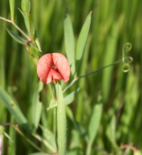 פברואר. צילום: © דרור מלמד