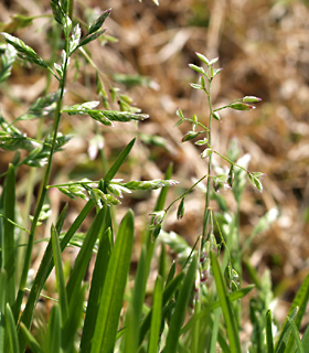 פברואר. צילום: © דרור מלמד