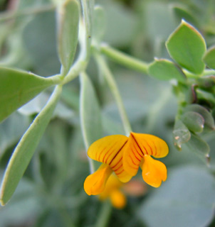 חוף נתניה, מרץ. צילום: © ערגה אלוני