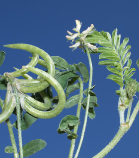 תל אביב, דצמבר. צילום: © דרור מלמד