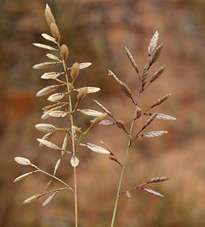 תל אביב, 5-2015. צילום: © דרור מלמד