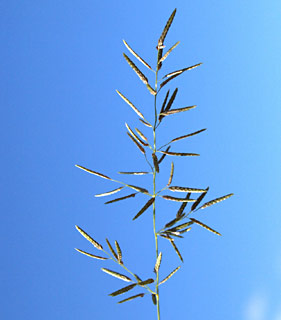 תל-אביב, נובמבר. צילום: © דרור מלמד