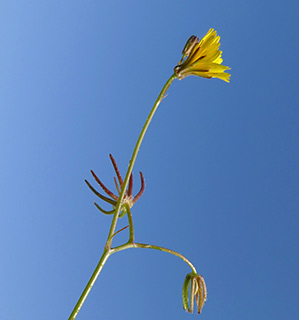 בקעה, 3-2019, צילום: © שרה גולד