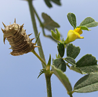 תל אביב, אפריל. צילום: © דרור מלמד