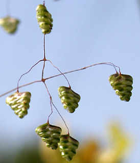 אפריל. צילום: © דרור מלמד