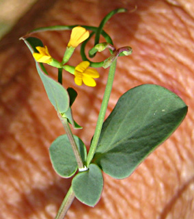 חרמון, מאי. צילום: © שרה גולד