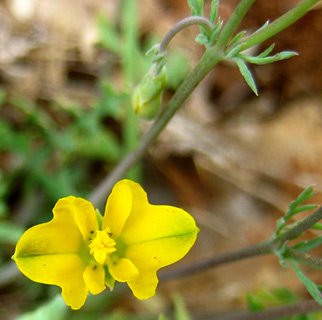 חרמון, מאי. צילום: © שרה גולד