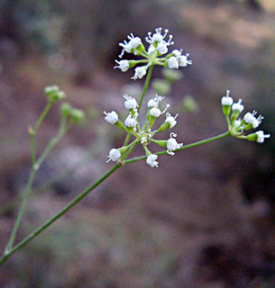 חרמון, מאי. צילום: © יובל עברון
