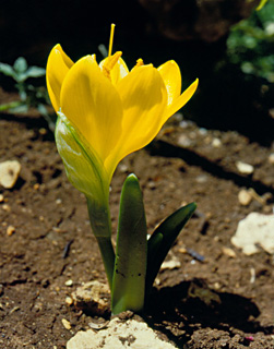 חיפה, אוקטובר. צילום: © יהודה מרטה