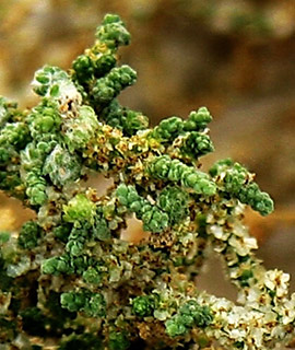 ים המלח, אוקטובר. צילום: © איתן שפירא