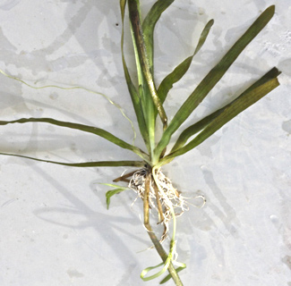 נובמבר. צילום: © שמעון כהן-סיוון