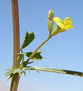 תמנע, 1.09. צילום: © מורי חן