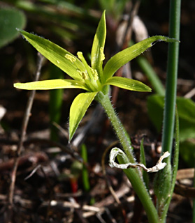 שמורת בני ציון, 1-09. צילום: © שרה גולד