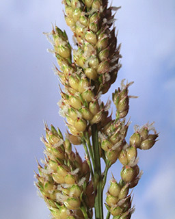 קיבוץ יקום , 12-2015. צילום: © דרור מלמד