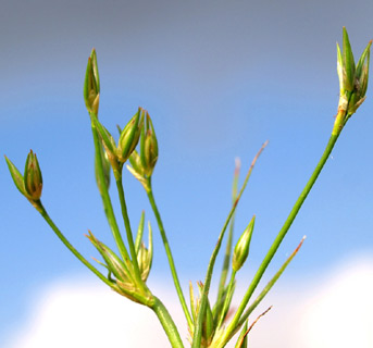 תל אביב, פברואר. צילום: © דרור מלמד
