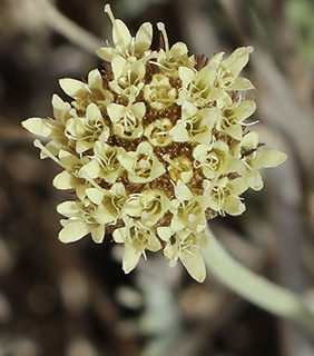 בור-חמת, 4-2015. צילום: © איתן שפירא