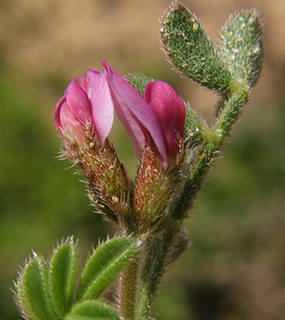 באר שבע, 3-2018. צילום: © אלי ליבנה