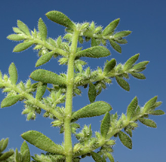 תל אביב, אפריל. צילום: © דרור מלמד