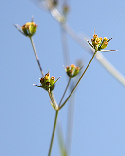 צילום: © ערגה אלוני
