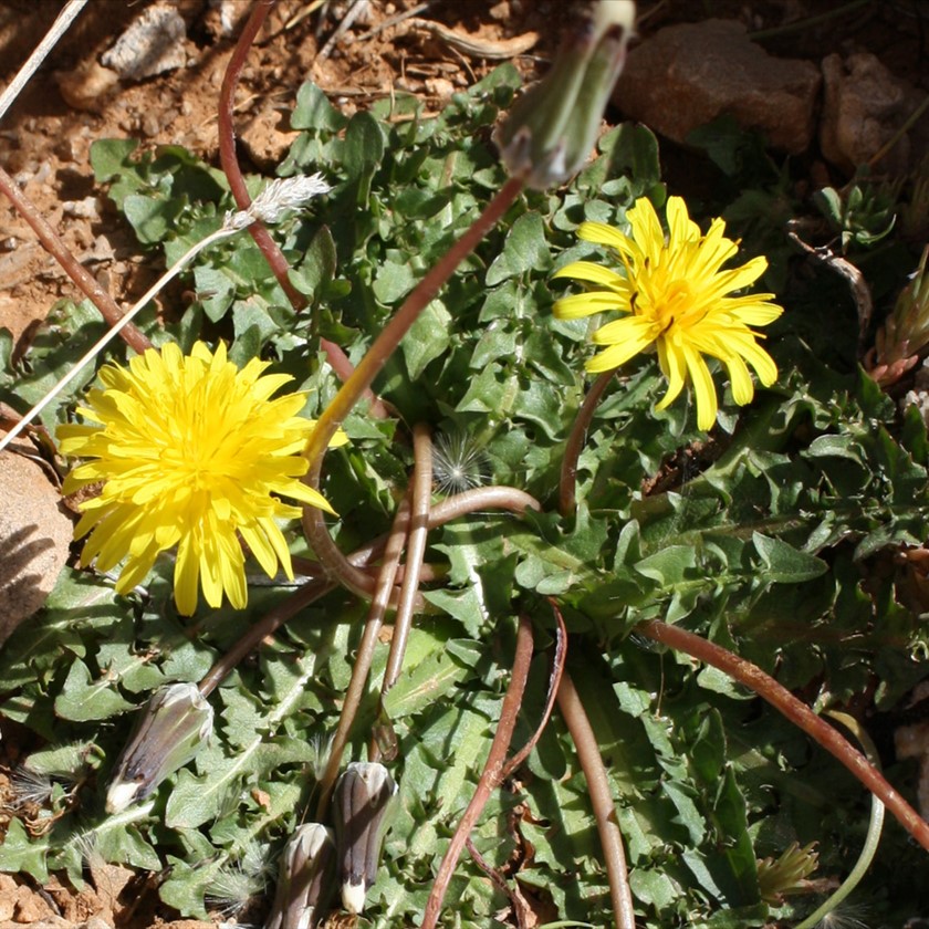מראה כללי. צילום: ערגה אלוני