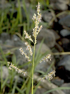 נחל דיבשה, 7-10-09. צילום: © יהודה מרטה