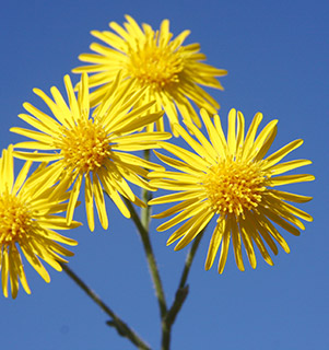 חוף הים נתניה. צילום: © שרה גולד