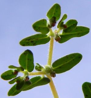 אילת, 3-10. צילום: © מורי חן