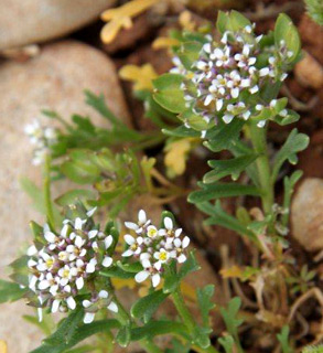 אזור ירושלים, 4-2010. צילום: © ערגה אלוני