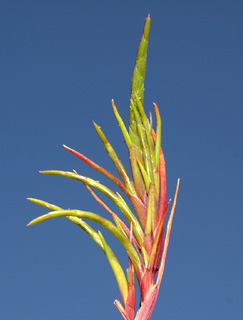 חולות תל-אביב, 4-10. צילום: © דרור מלמד