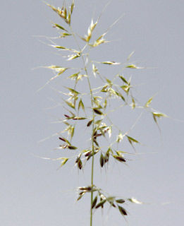 3-10. צילום: © ערגה אלוני