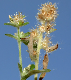 קמפוס אונ' בר-אילן, 4-10. צילום: © דרור מלמד