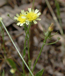 4-2011. צילום: © ערגה אלוני