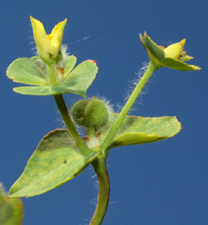 בריכה ליד גן-שמואל, 24-4-2011. צילום: © דרור מלמד